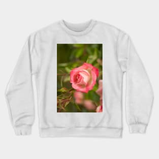 gli pink lady Crewneck Sweatshirt